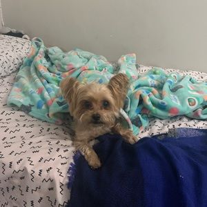 Meet your Posher, Calla